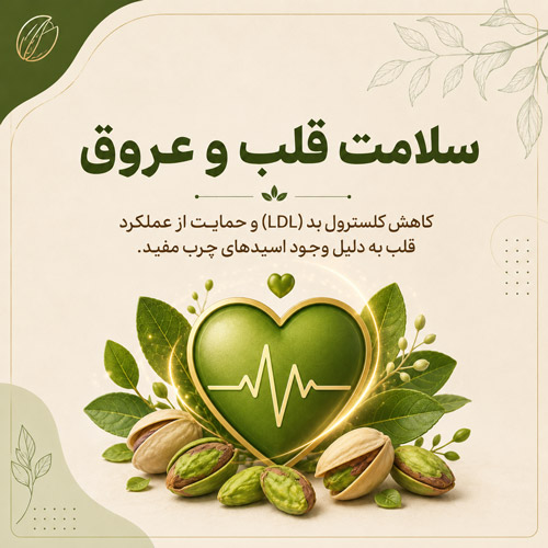 سلامت قلب و عروق
