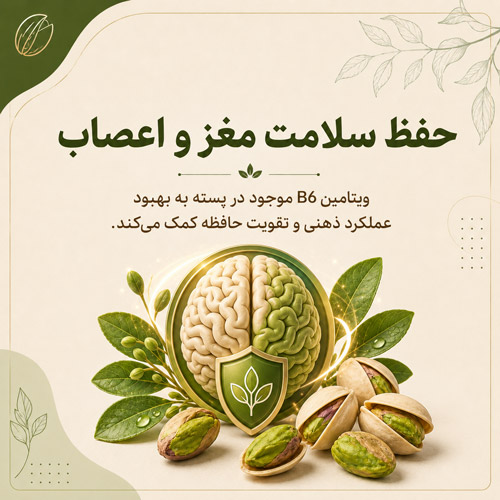 حفظ سلامت مغز و اعصاب