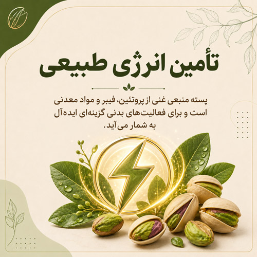 تأمین انرژی طبیعی