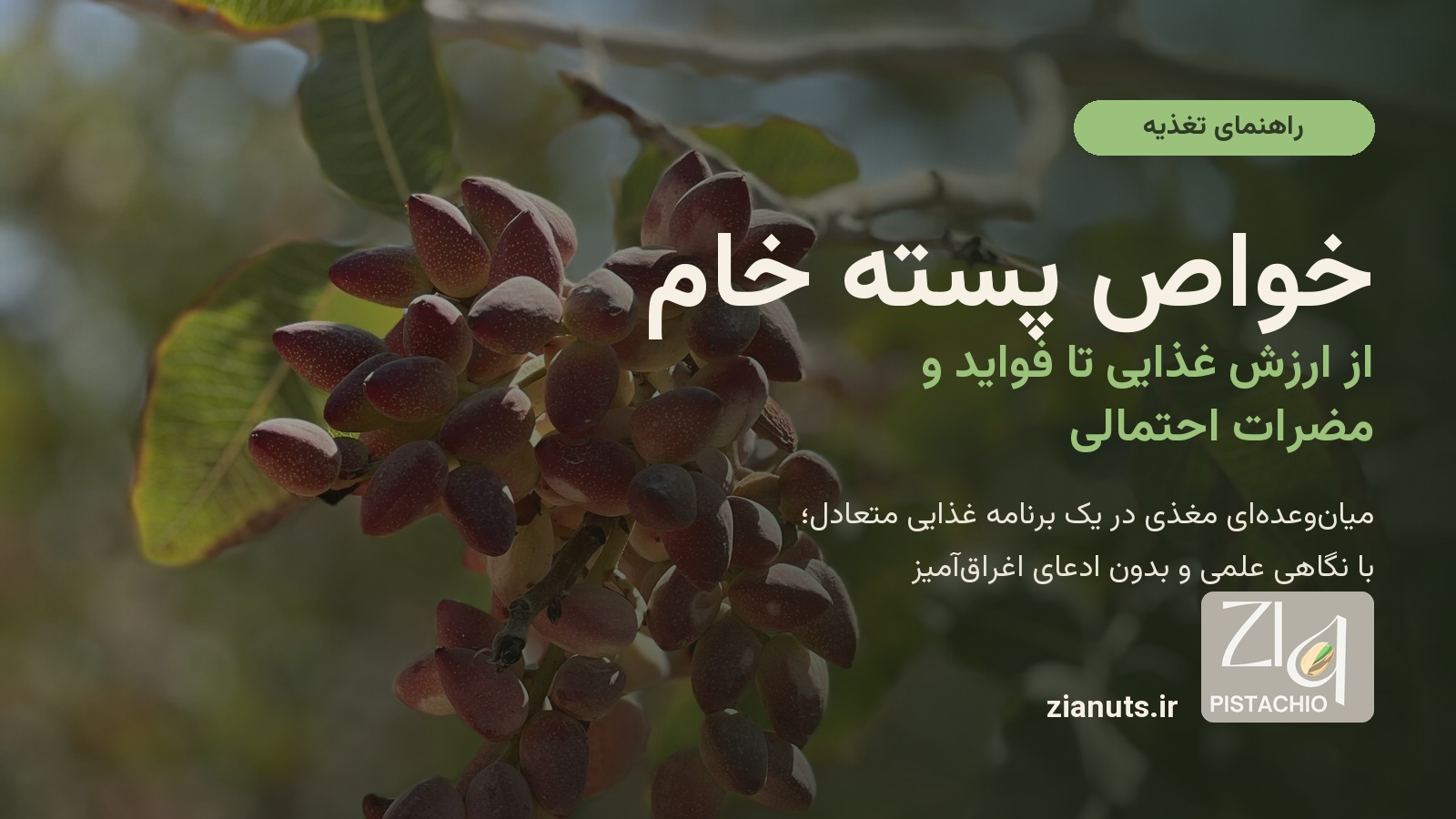 خواص پسته خام